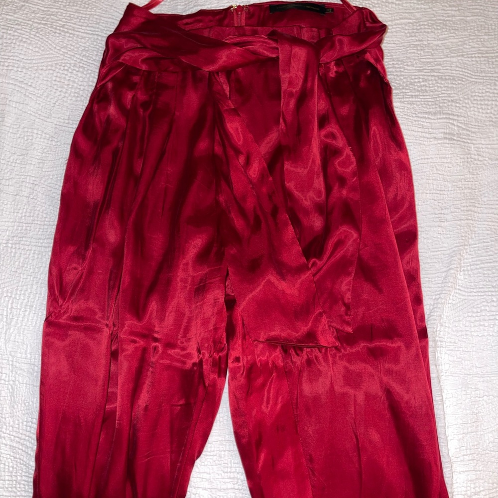 Shiny, silk House of Harlow pants